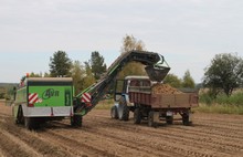 В Ярославской области убрано более шестидесяти процентов зерновых