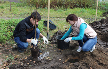 Ветераны комсомольского движения Ярославля в этом году высадят 100 деревьев в честь 100-летия