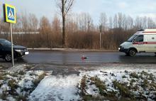 На Тормозном шоссе в Ярославле сбит пожилой мужчина