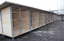 В МУП «Спецавтохозяйство» построены 12 вольеров для бездомных животных