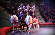 В Ярославском цирке начинается новая программа