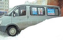 В Ярославской области состоялись праймериз - голосование на предварительных выборах в областную Думу. Фоторепортаж