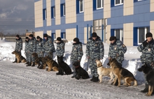 В Ярославле двумя боевыми медалями наградили овчарку