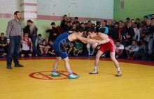 В Ярославле прошел Всероссийский турнир по вольной борьбе