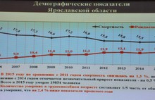 За прошлый год гражданам, имеющим троих и более детей, бесплатно предоставлено 396 земельных участков