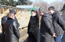 Власти Ярославля проверили содержание бездомных животных Спецавтохозяйством
