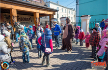 В Ярославле проснулись медведи