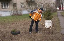 В центре Ярославля во дворах прошли субботники