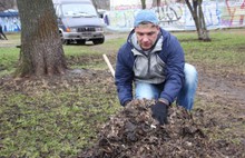 В Ярославле в общегородском субботнике приняли участие около 26 тысяч человек