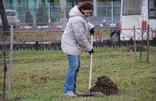 В Ярославле в общегородском субботнике приняли участие около 26 тысяч человек