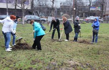 В Ярославле в общегородском субботнике приняли участие около 26 тысяч человек