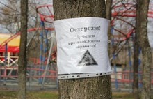 В Ярославле антиклещевой обработке подверглись парки