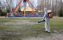 В Ярославле антиклещевой обработке подверглись парки