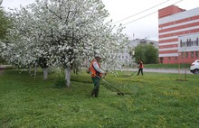 В Ярославле готовятся ко Дню города