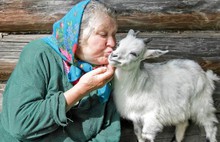 В Ярославском музее-заповеднике открылась выставка финалистов фотоконкурса «В объективе семья»