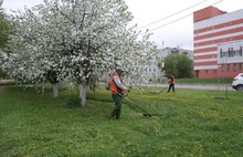 ​В Ярославле ко Дню города косят траву и восстанавливают плитку в районе Стрелки