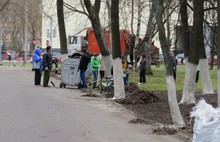 В Ярославле ликвидировано 133 несанкционированные свалки