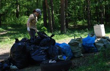 В Ярославле ликвидировано 133 несанкционированные свалки