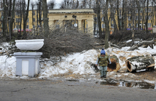 Уже больше месяца на аллеях детского парка на проспекте Ленина лежат спиленные деревья.  Фоторепортаж