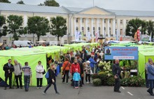 На ЯрАГРО в Ярославле первым демонстрировал свою продукцию Даниловский район