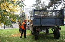 В Ярославле приводят в порядок контейнерные площадки для вывоза мусора