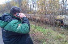 В Ярославле похитили металлическую изоляцию с тысячи метров теплосети