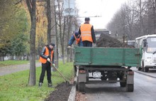 В выходные в Ярославле благоустраивали газоны на проспекте Ленина