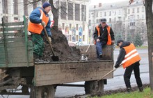 В выходные в Ярославле благоустраивали газоны на проспекте Ленина