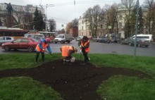 В Ярославле высаживают 20 тысяч луковиц тюльпанов