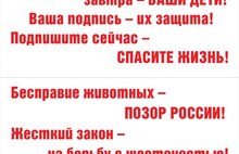 В Ярославле пройдет митинг против хабаровских живодерок