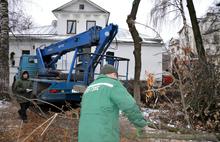 Второй сквер  лег под нож в центре Ярославля