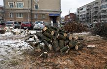 Второй сквер  лег под нож в центре Ярославля