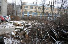 Второй сквер  лег под нож в центре Ярославля