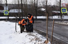 В Ярославле растет число несанкционированных свалок