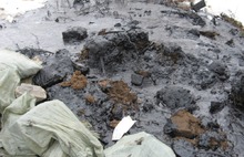 Ярославские власти огласили результаты проверки незаконной свалки, найденной в районе окружной дороги