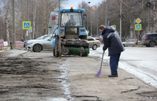 В весеннем субботнике на улице Павлова приняли участие более двухсот ярославцев