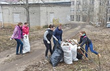 Более ста студентов вышли на субботник во Фрунзенском районе Ярославля