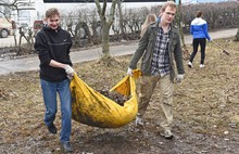 Более ста студентов вышли на субботник во Фрунзенском районе Ярославля