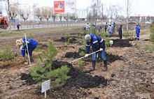 Почти пятьдесят тысяч ярославцев вышли на уборку города