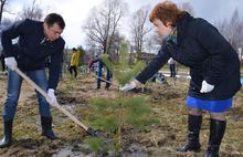 Экологическая экспедиция в «Космос» завершилась высадкой сосен