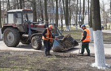 В месячнике по благоустройству приняли участие более 155 тысяч ярославцев