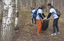 В месячнике по благоустройству приняли участие более 155 тысяч ярославцев