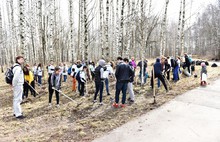 В месячнике по благоустройству приняли участие более 155 тысяч ярославцев