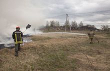 В соцсетях размещены фотографии пожара в Ярославской области от Гринпис