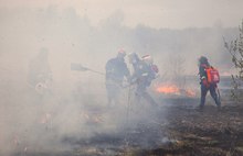 В соцсетях размещены фотографии пожара в Ярославской области от Гринпис