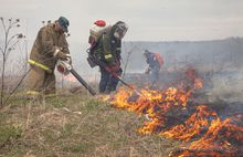 В соцсетях размещены фотографии пожара в Ярославской области от Гринпис