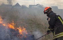 В соцсетях размещены фотографии пожара в Ярославской области от Гринпис