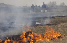 В соцсетях размещены фотографии пожара в Ярославской области от Гринпис