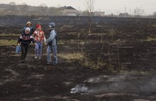 В соцсетях размещены фотографии пожара в Ярославской области от Гринпис