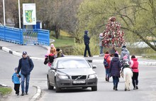 Кататься на лошадях в Ярославле теперь можно только в парках